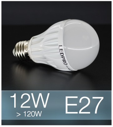 Lampadina LED  E27 12W Globe - Bianco FREDDO