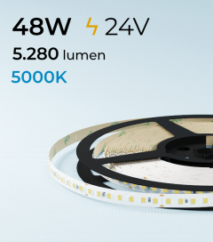 Striscia LED 2835 "ECO NEW" - 24V - 5 Metri - 48W - SMD2835 140 LED/m - Luce Fredda - 5000K 
