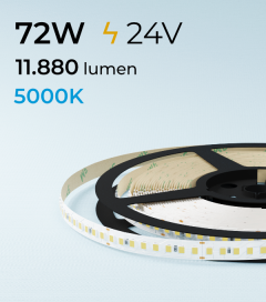 Striscia LED 2835 "ECO New Super Efficienti " - 24V - 5 Metri - 72W - 160 LED/m SMD2835 - CRI80 - Bianco Freddo 5000K