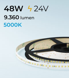 Striscia LED 2835 "ECO New Super Efficienti" - 24V - 5 Metri - 48W - SMD2835 180 LED/m - Luce Fredda - 5000K 