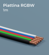 Cavo elettrico RGBW - Al metro