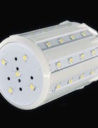 CORN-10W